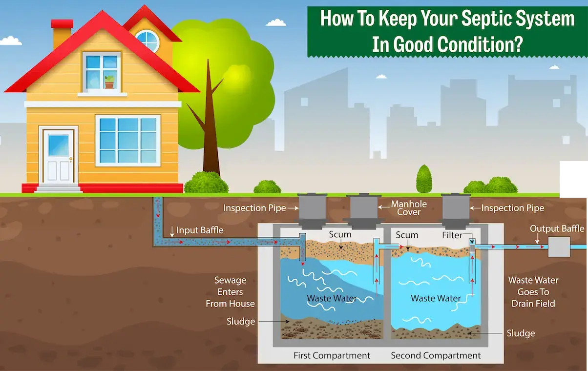 Diagram of a residential septic system showing tank and drain field
