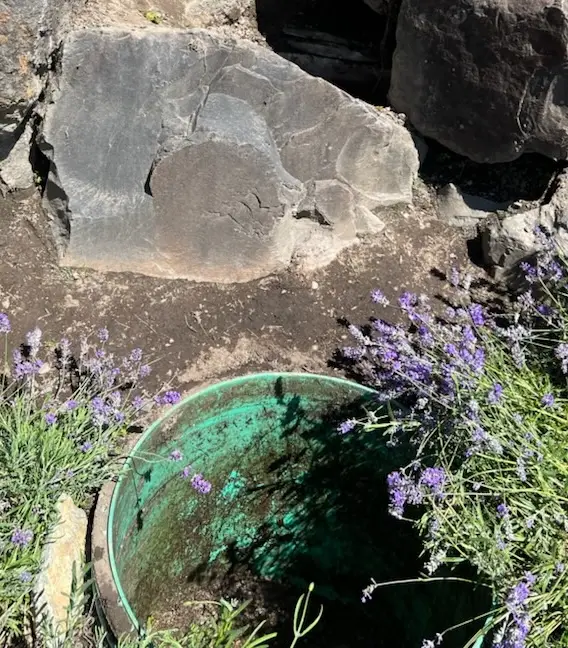 Septic tank pumping truck on site in Snohomish County